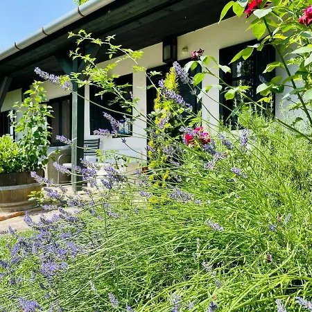 Lelle Vineyard Cottages דירה בלטונללה